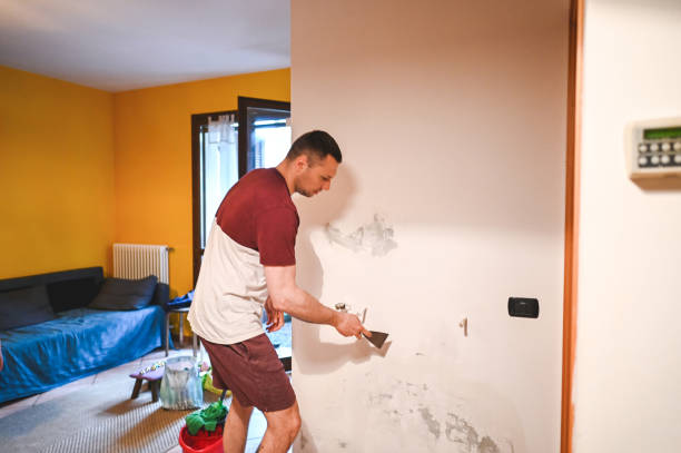 Best Local Mold Removal Service  in Wilson, AR